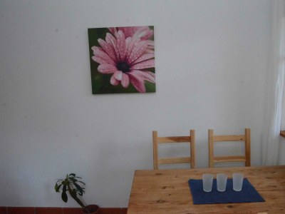 Apartment Apartment Albert - Features photo 19