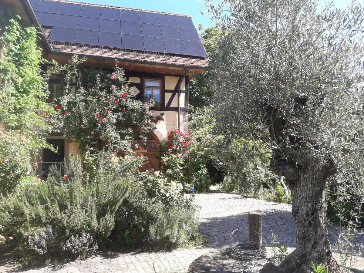 Apartment Falkenhorst