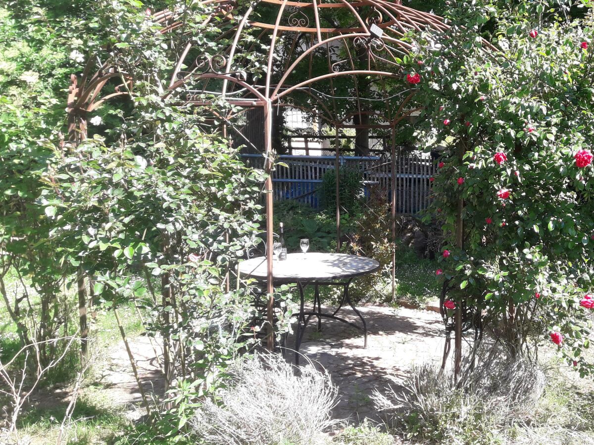 Apartment Falkenhorst - Outdoor photo 4