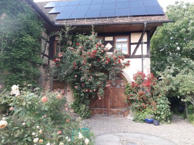 Apartment Falkenhorst - Outdoor photo 2