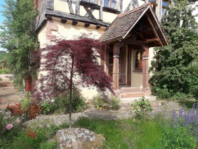 Apartment Falkenhorst - Outdoor photo 3