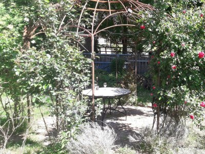 Apartment Falkenhorst - Outdoor photo 4