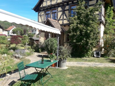 Apartment Falkenhorst - Outdoor photo 6