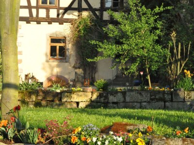 Apartment Falkenhorst - Outdoor photo 8