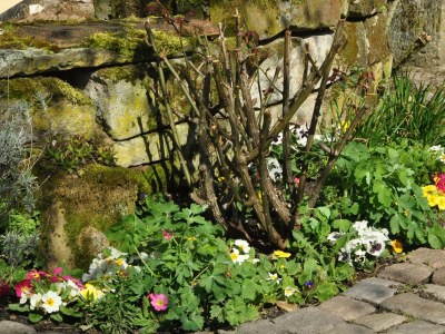 Apartment Falkenhorst - Outdoor photo 9