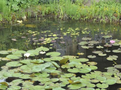 Apartment Falkenhorst - Outdoor photo 10