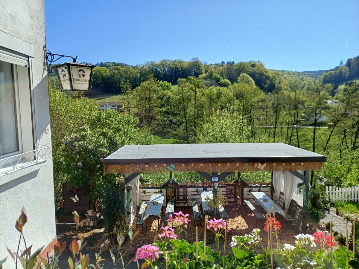 Apartment Ferienwohnung zum Finkenbachtal - Outdoor photo 2