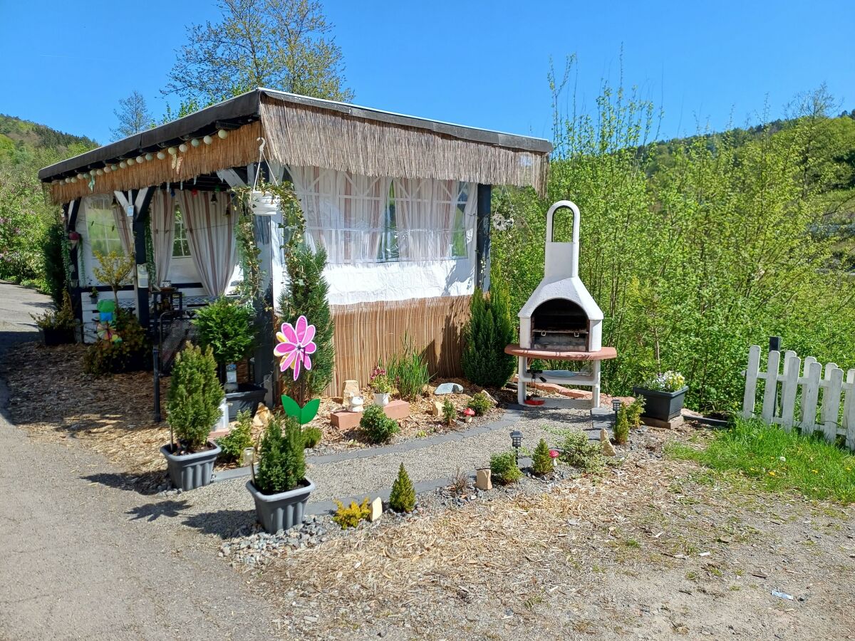 Apartment Ferienwohnung zum Finkenbachtal - Outdoor photo 3