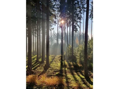 Apartment Ferienwohnung zum Finkenbachtal - Outdoor photo 14