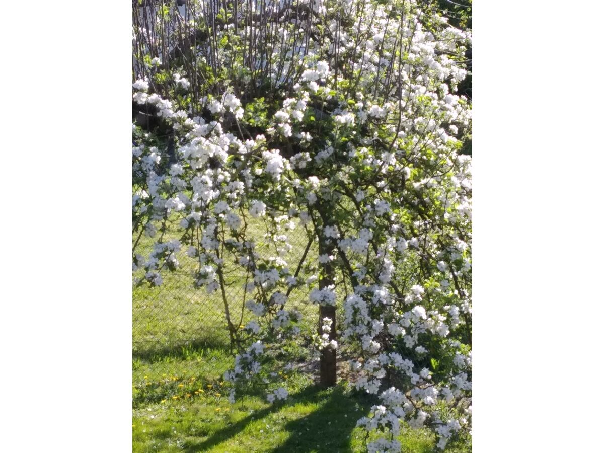 Apartment Ferienwohnung Stockemer Häcke - Outdoor photo 5