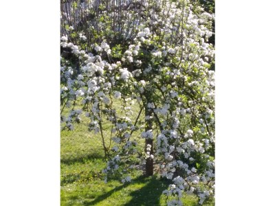 Apartment Ferienwohnung Stockemer Häcke - Outdoor photo 5