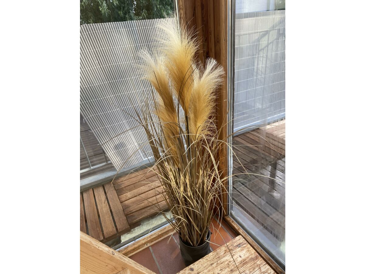 Apartment Ferienwohnung Blick ins Grüne - Outdoor photo 5