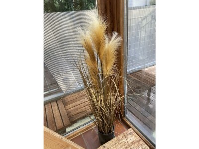 Apartment Ferienwohnung Blick ins Grüne - Outdoor photo 5