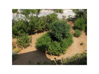 Apartment Two bedroom apartment with terrace and sea view Pag A-6535-c - Outdoor photo 13