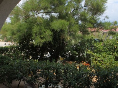 Apartment Two bedroom apartment with terrace and sea view Pag A-6535-c - Outdoor photo 30