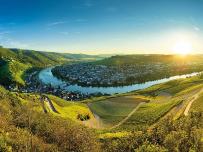 Holiday apartment Villa Mosella I - Environment photo 12