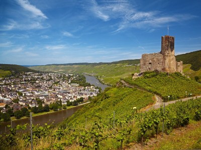 Holiday apartment Villa Mosella I - Environment photo 13