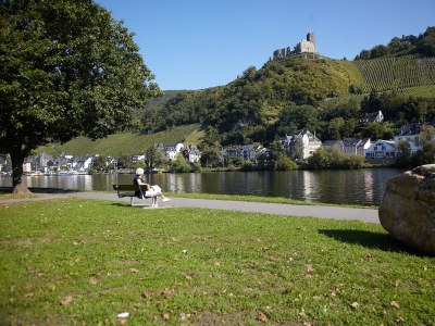 Holiday apartment Villa Mosella I - Environment photo 16