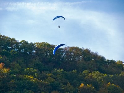 Holiday apartment Villa Mosella I - Environment photo 18