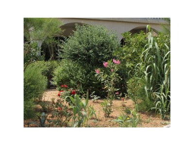 Apartment Two bedroom apartment with terrace Pag A-6535-d - Outdoor photo 12