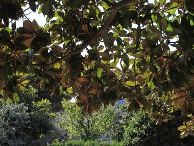 Apartment One bedroom apartment with terrace Umag A-7189-a - Outdoor photo 7