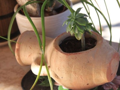 Apartment One bedroom apartment with terrace Umag A-7189-a - Outdoor photo 10