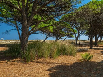 Holiday park Holiday resort, Budoni - Outdoor photo 7