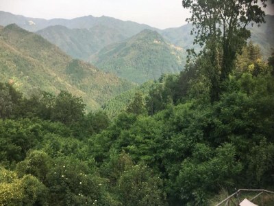 Holiday house Bagni di Lucca Rustic Retreat - Environment photo 26