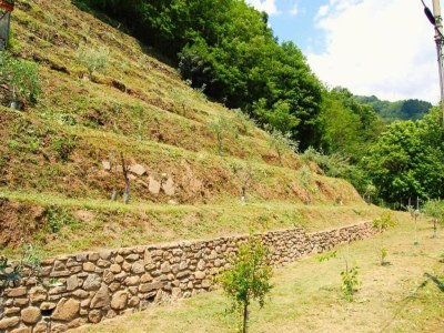 Holiday house Bagni di Lucca Rustic Retreat - Environment photo 36