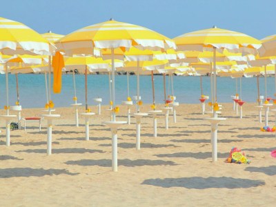 Apartment Holiday home near Urbino & Beaches - Environment photo 29