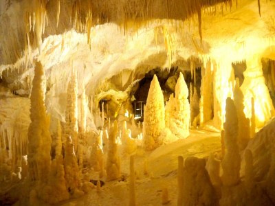 Apartment Holiday home near Urbino & Beaches - Environment photo 34