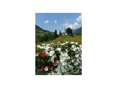 Apartment App. 3 ohne Balkon - Outdoor photo 4