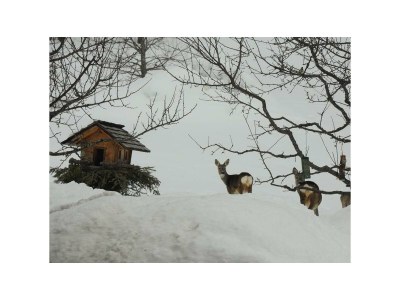 Apartment App. 3 ohne Balkon - Outdoor photo 8