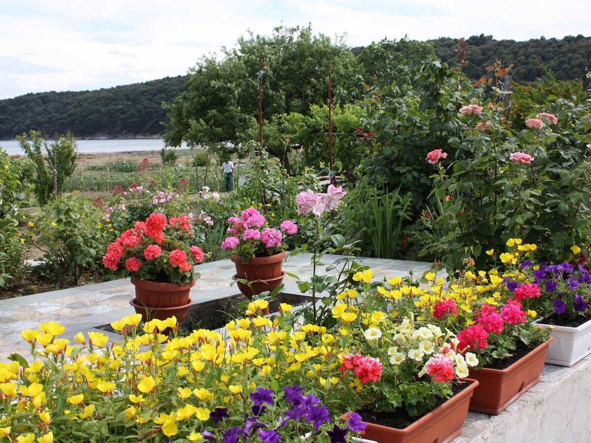 Apartment Three bedroom apartment with terrace Kampor, Rab A-4985-a - Outdoor photo 5