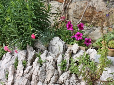 Apartment Three bedroom apartment with terrace Kampor, Rab A-4985-a - Outdoor photo 9