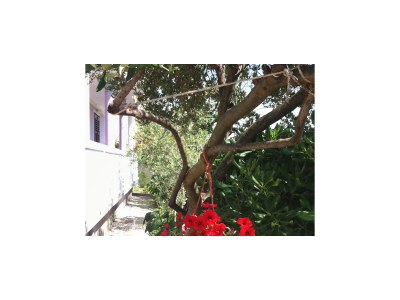 Apartment Three bedroom apartment with terrace Kampor, Rab A-4985-a - Outdoor photo 11