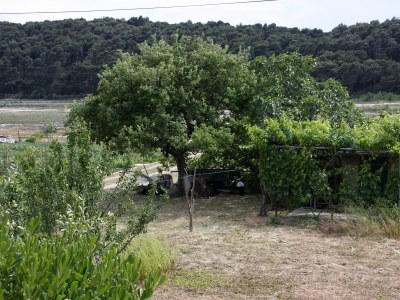 Apartment Three bedroom apartment with terrace Kampor, Rab A-4985-a - Outdoor photo 33