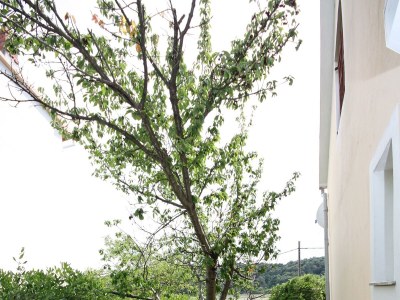 Apartment Three bedroom apartment with terrace Kampor, Rab A-4985-a - Outdoor photo 41