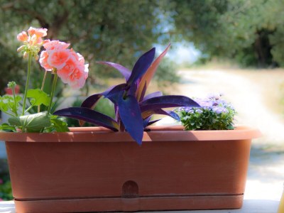 Apartment One bedroom apartment with balcony and sea view Podaca, Makarska A-15748-e in Podaca - Apartment