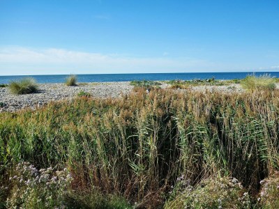 Holiday house Charmantes Ferienhaus mit Garten auf Fehmarn - Environment photo 23