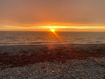 Holiday house Charmantes Ferienhaus mit Garten auf Fehmarn - Environment photo 24