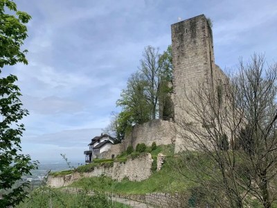 Villa Eifel finca with whirlpool and garden lounge - Environment photo 33