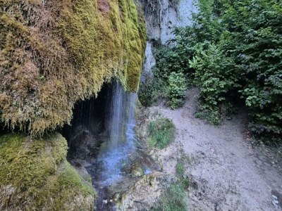 Villa Eifel finca with whirlpool and garden lounge - Environment photo 34