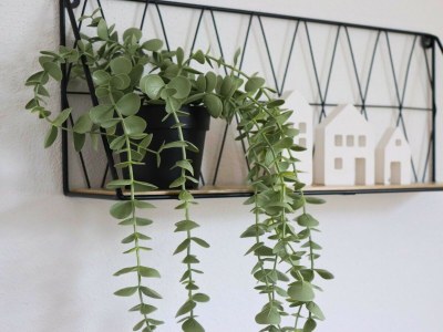 Villa Eifel finca with whirlpool and garden lounge - Outdoor photo 39