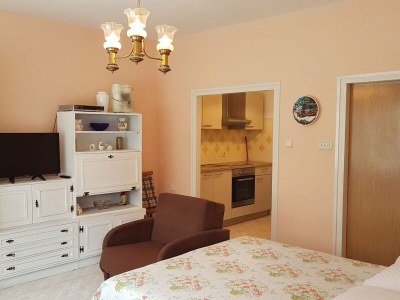 Apartment Cozy Apartments Matulji - Studio with Garden - Features photo 6