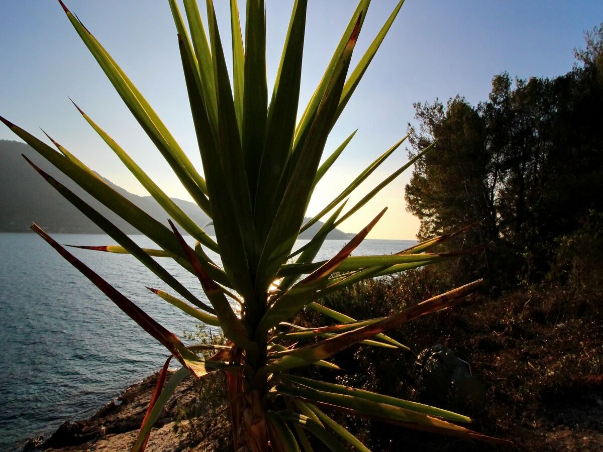 Holiday house Holiday Home Bili Žal - Two Bedroom Holiday Home with Terrace and Sea View