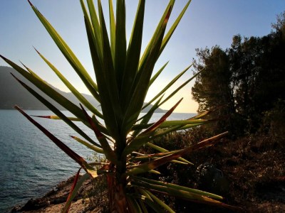 Holiday house Holiday Home Bili Žal - Two Bedroom Holiday Home with Terrace and Sea View in Korčula - Holiday house