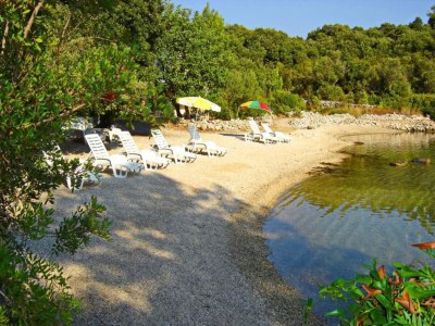 Apartment Apartments Villa Cebalo Korčula - Standard One Bedroom Apartment with Terrace and Sea View EMA - Environment photo 12