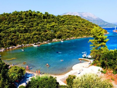 Apartment Apartments Villa Cebalo Korčula - Standard One Bedroom Apartment with Terrace and Sea View EMA - Environment photo 13