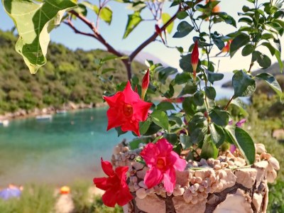 Apartment Apartments Villa Cebalo Korčula - Superior Three Bedroom Apartment with Terrace and Sea View MARKO - Outdoor photo 15